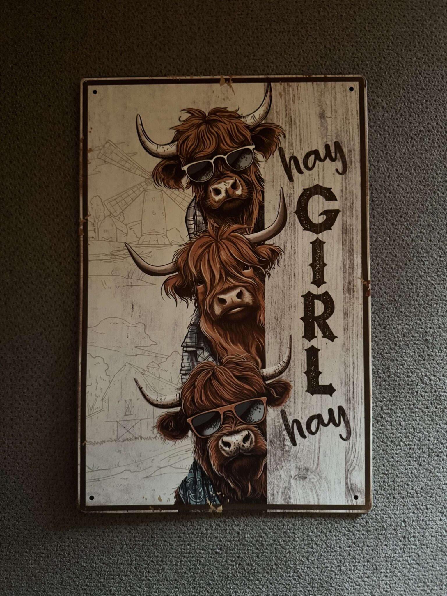 HAY GIRL